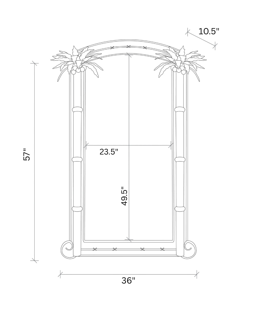 King Palm Mirror