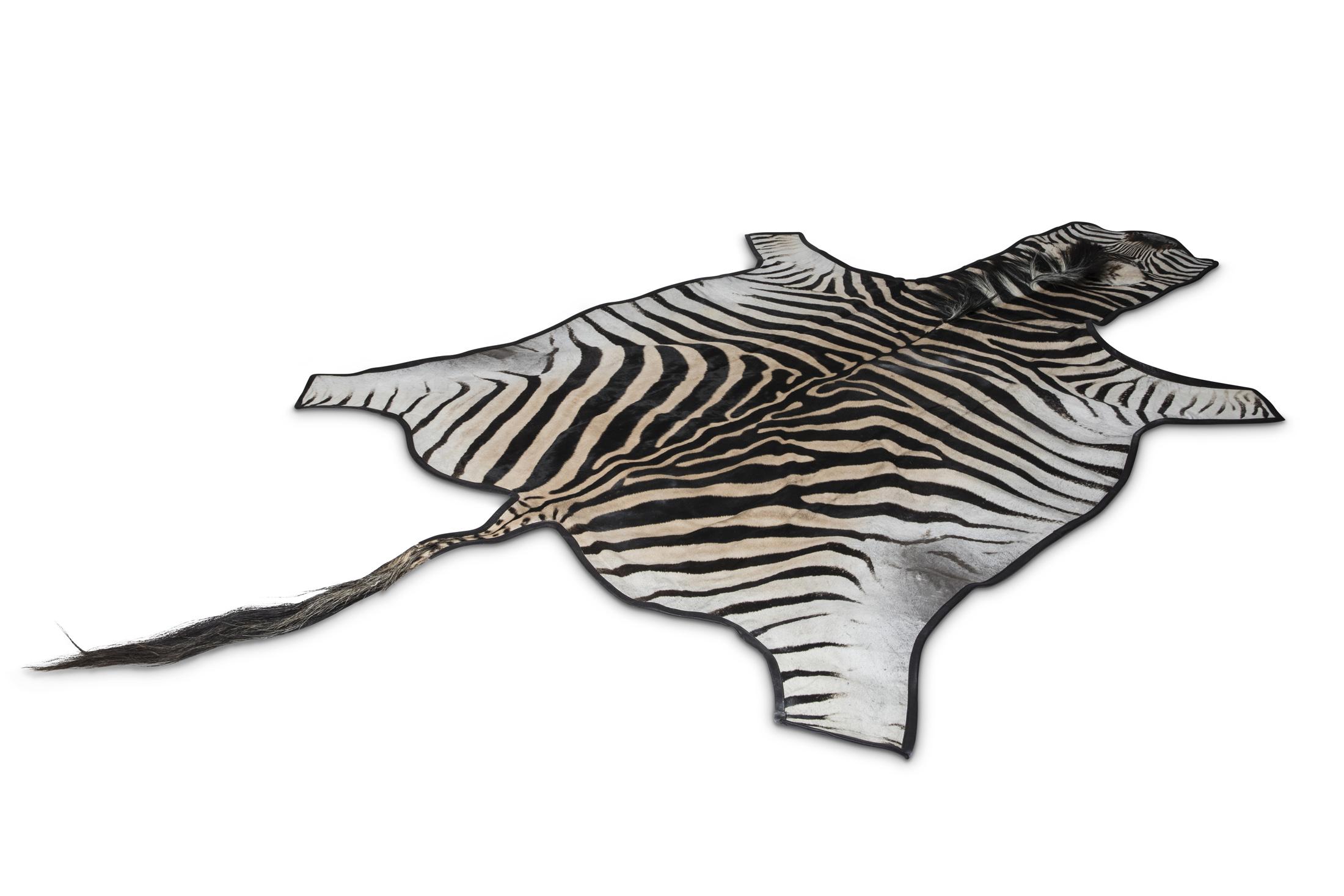 Zebra Hide - Leather Trimmed