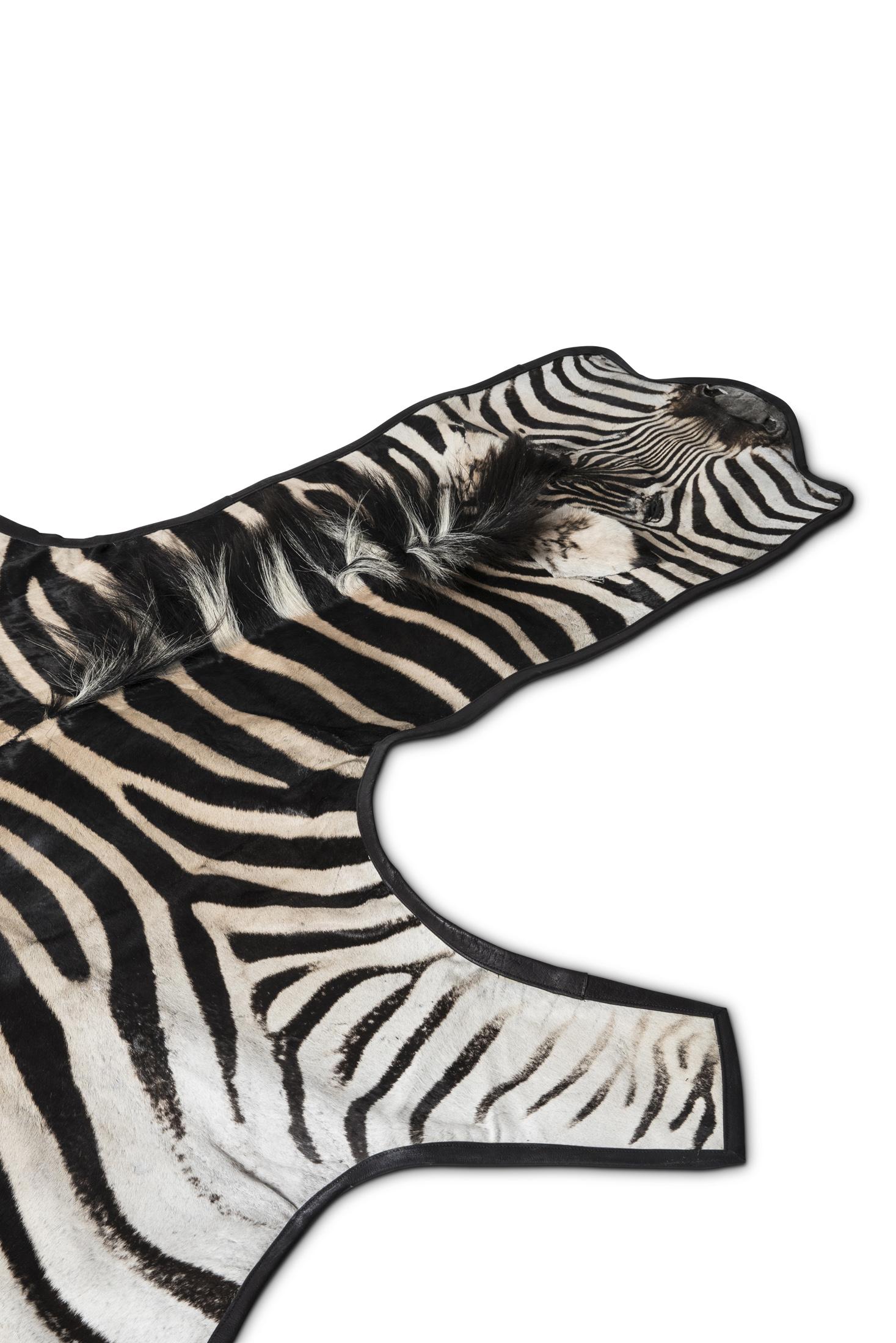 Zebra Hide - Leather Trimmed