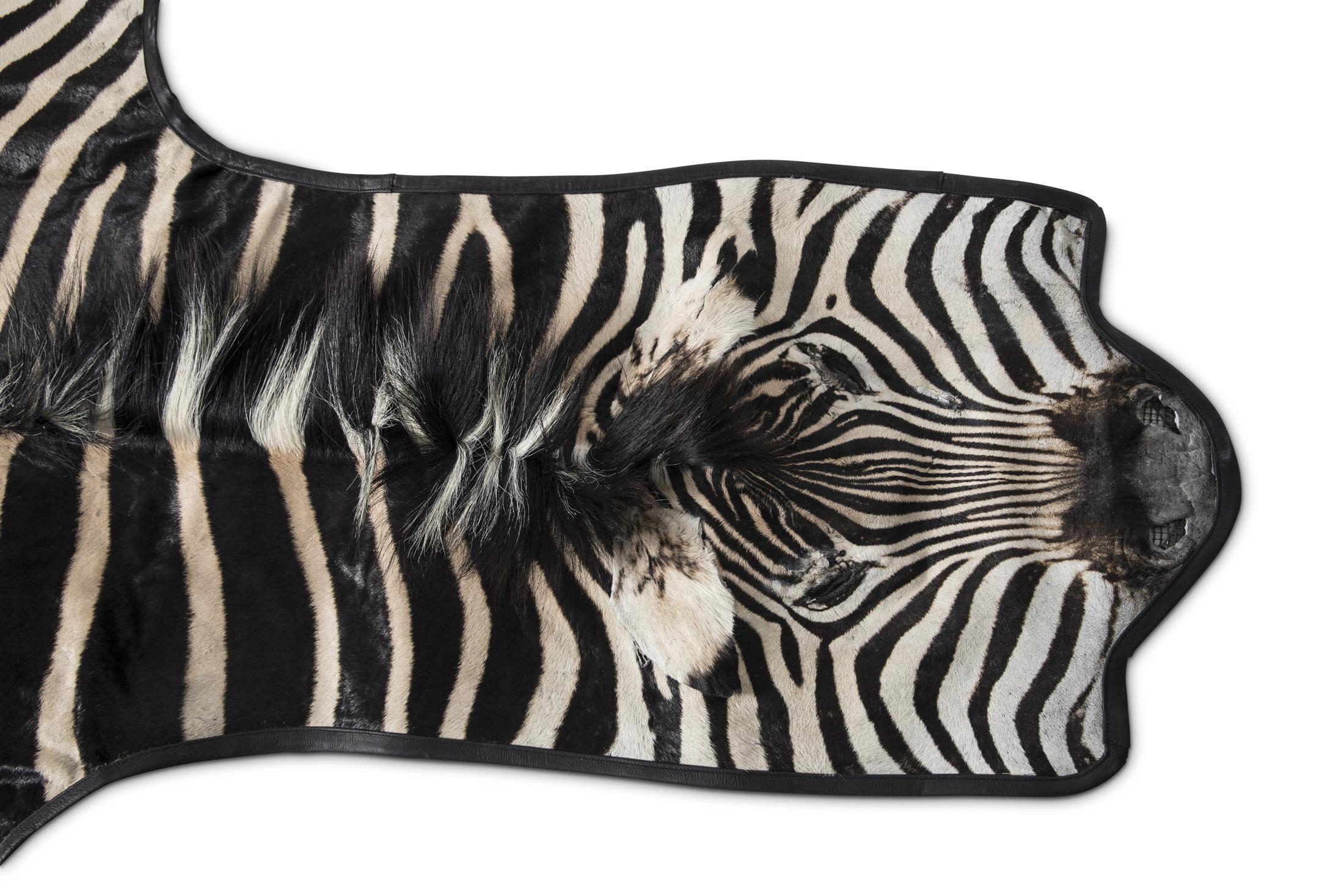 Zebra Hide - Leather Trimmed