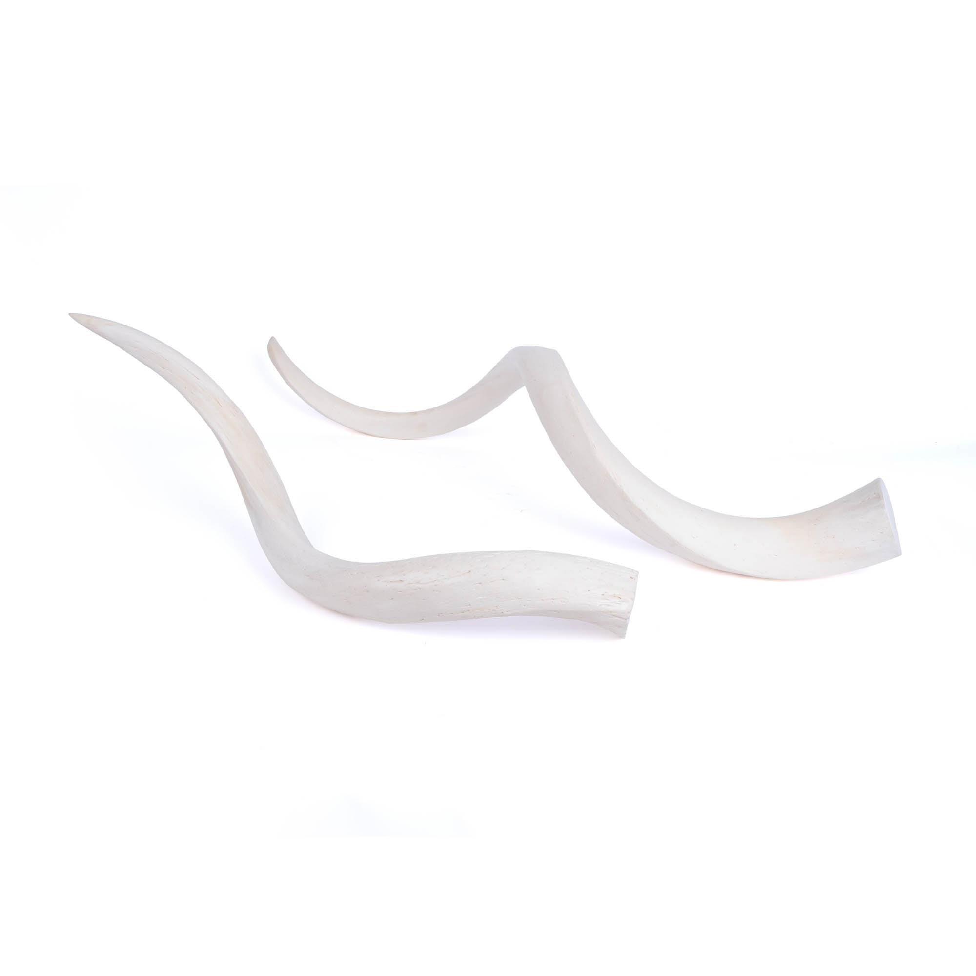 Kudu Inner Horn - Medium