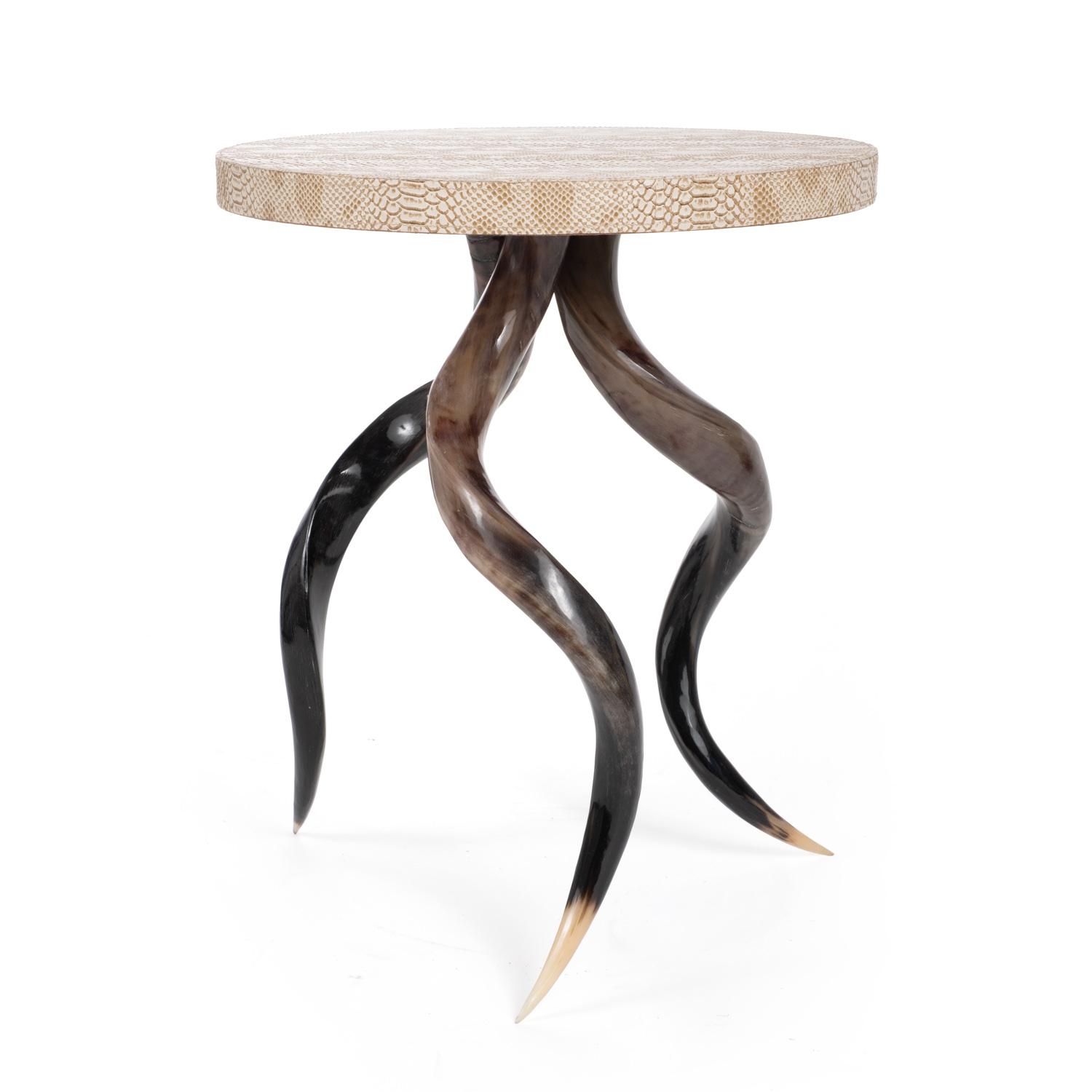 Polished Kudu Horn Table