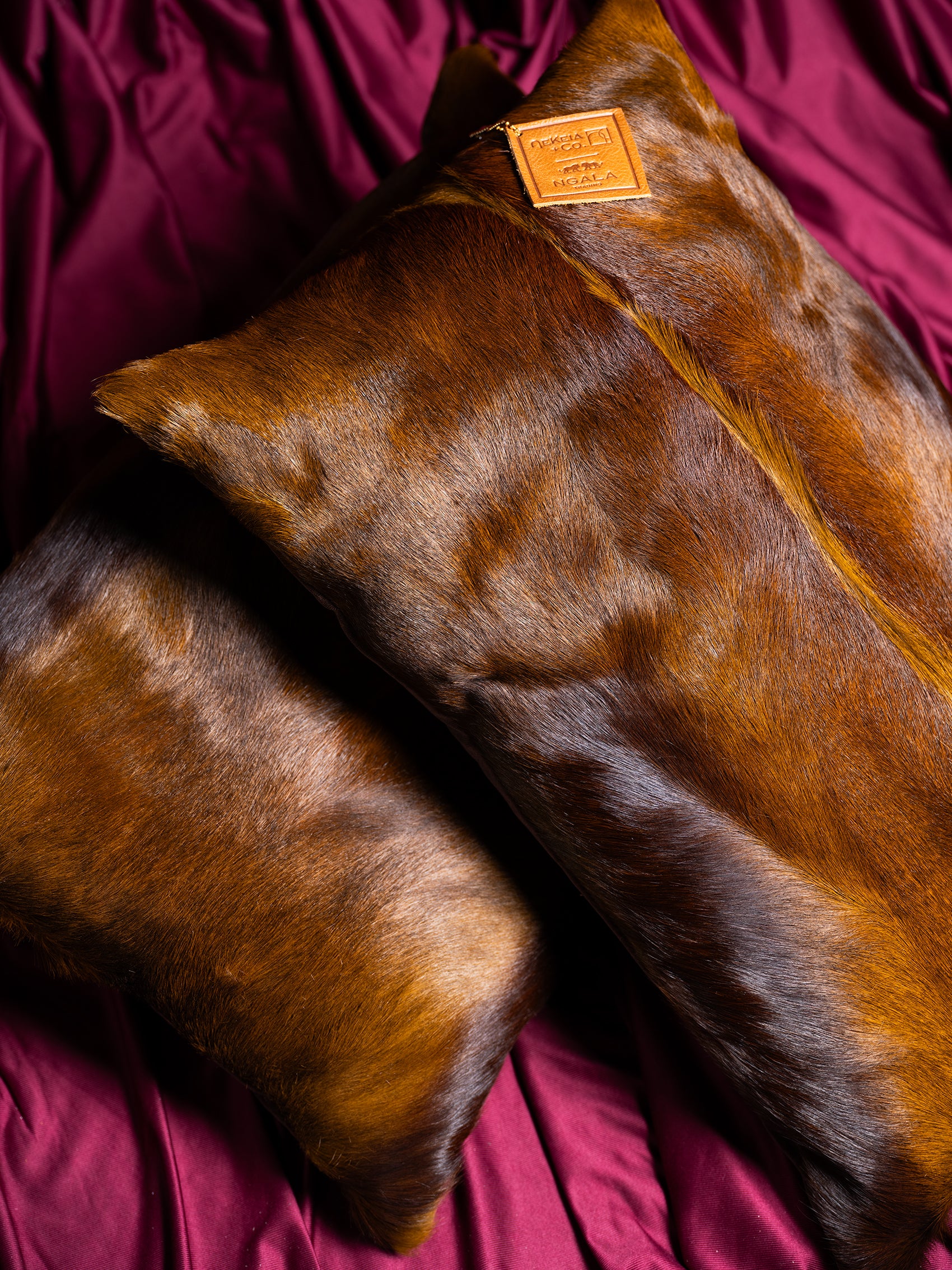 Kinshasha Chocolate Springbok Pillow