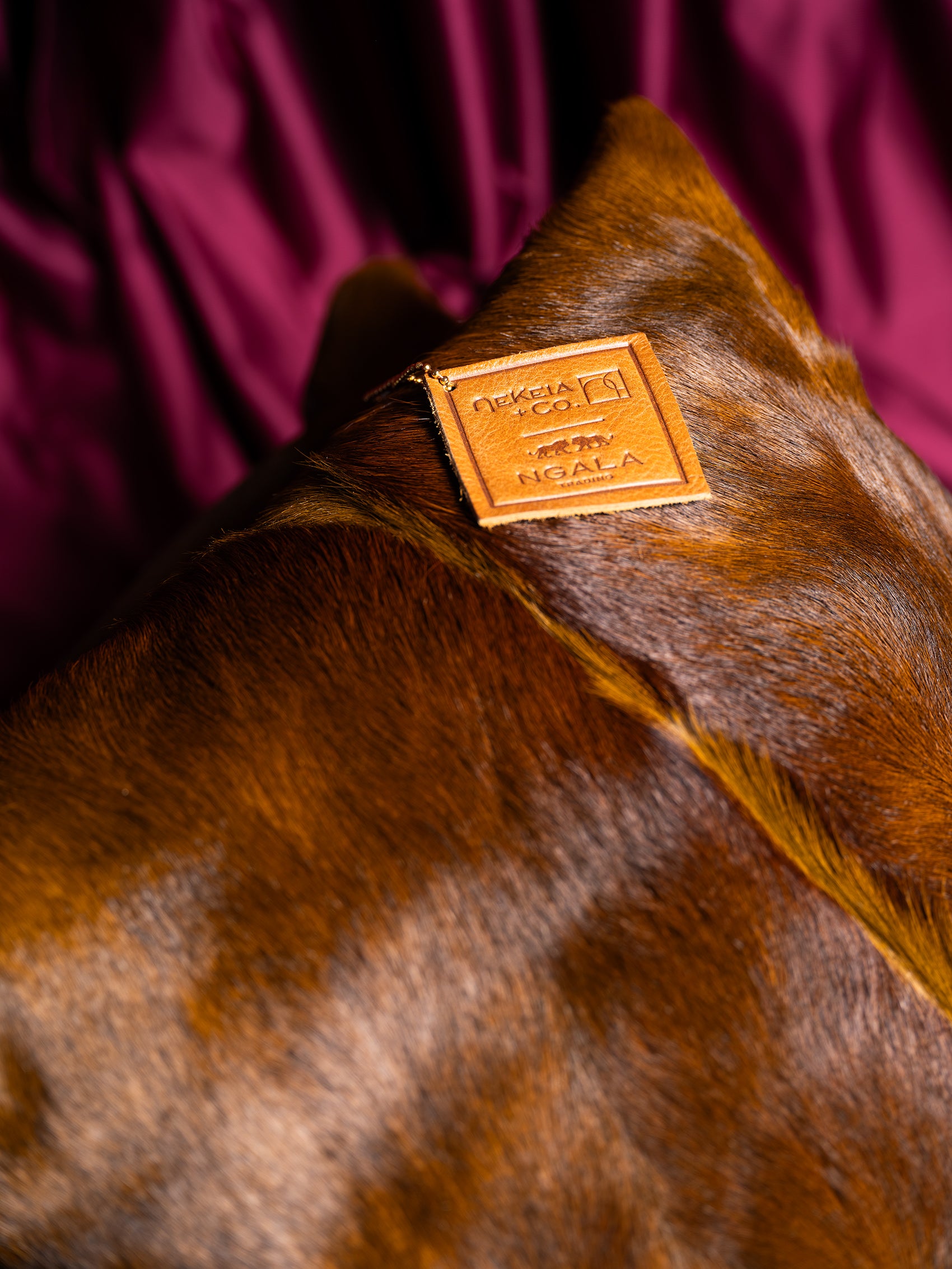 Kinshasha Chocolate Springbok Pillow