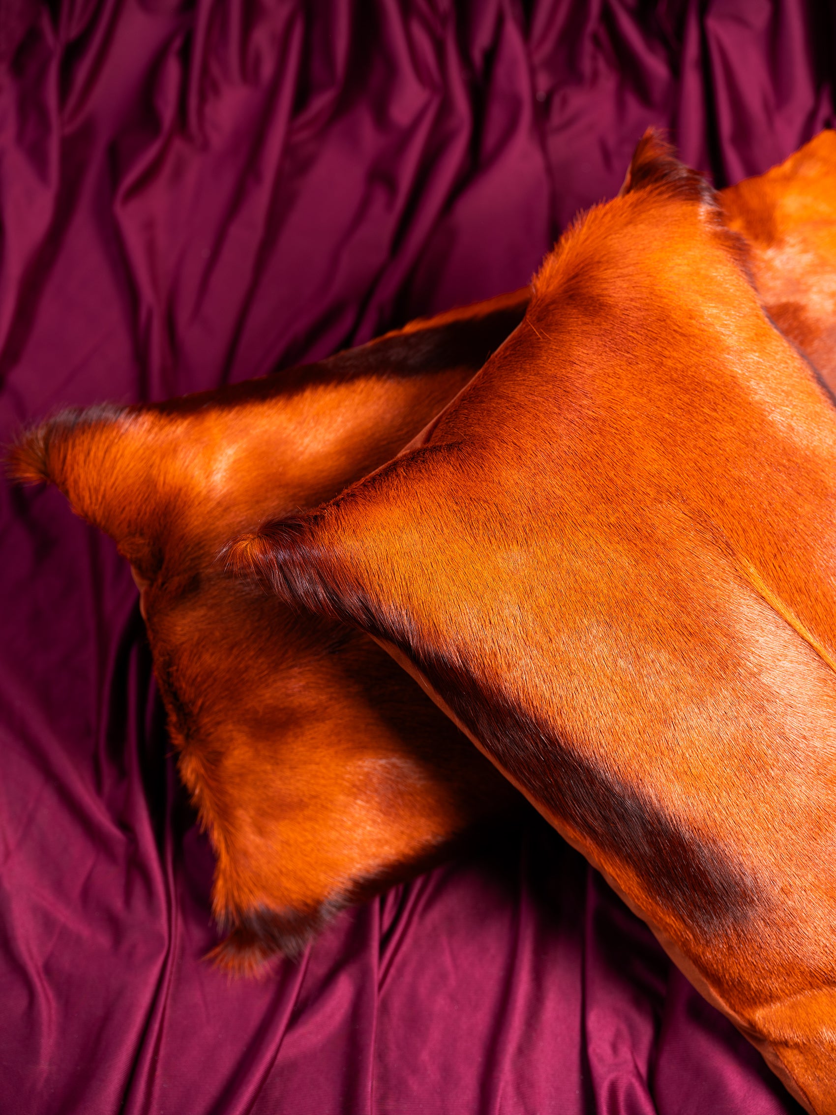 Kinshasha Rust Springbok Pillow