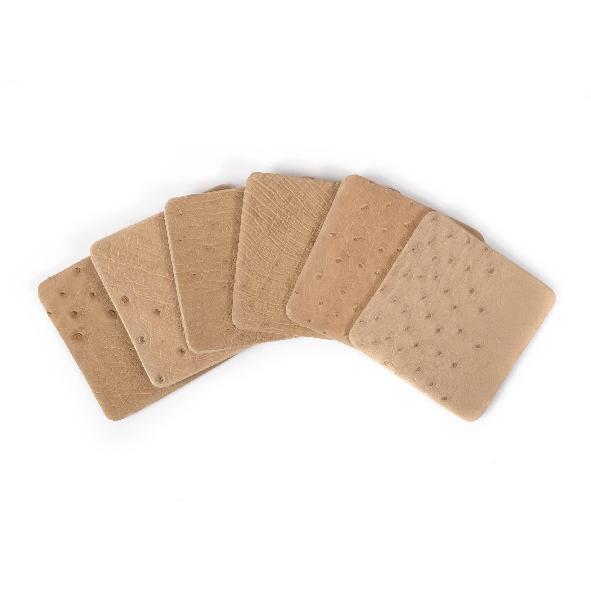 Ostrich Leather Coasters w/ Tie (S/6) - Cream