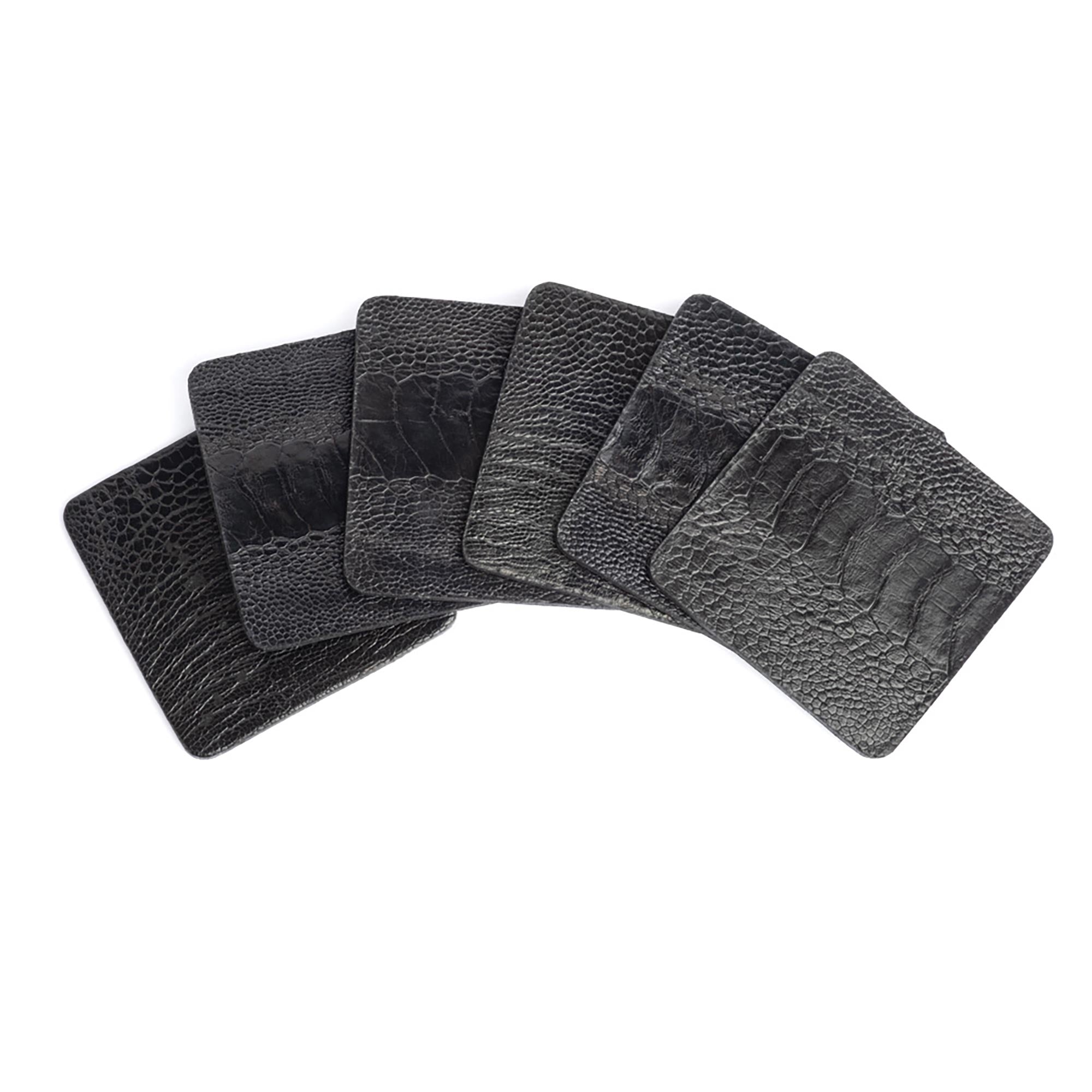 Ostrich Shin Coasters w/ Tie (S/6) - Black