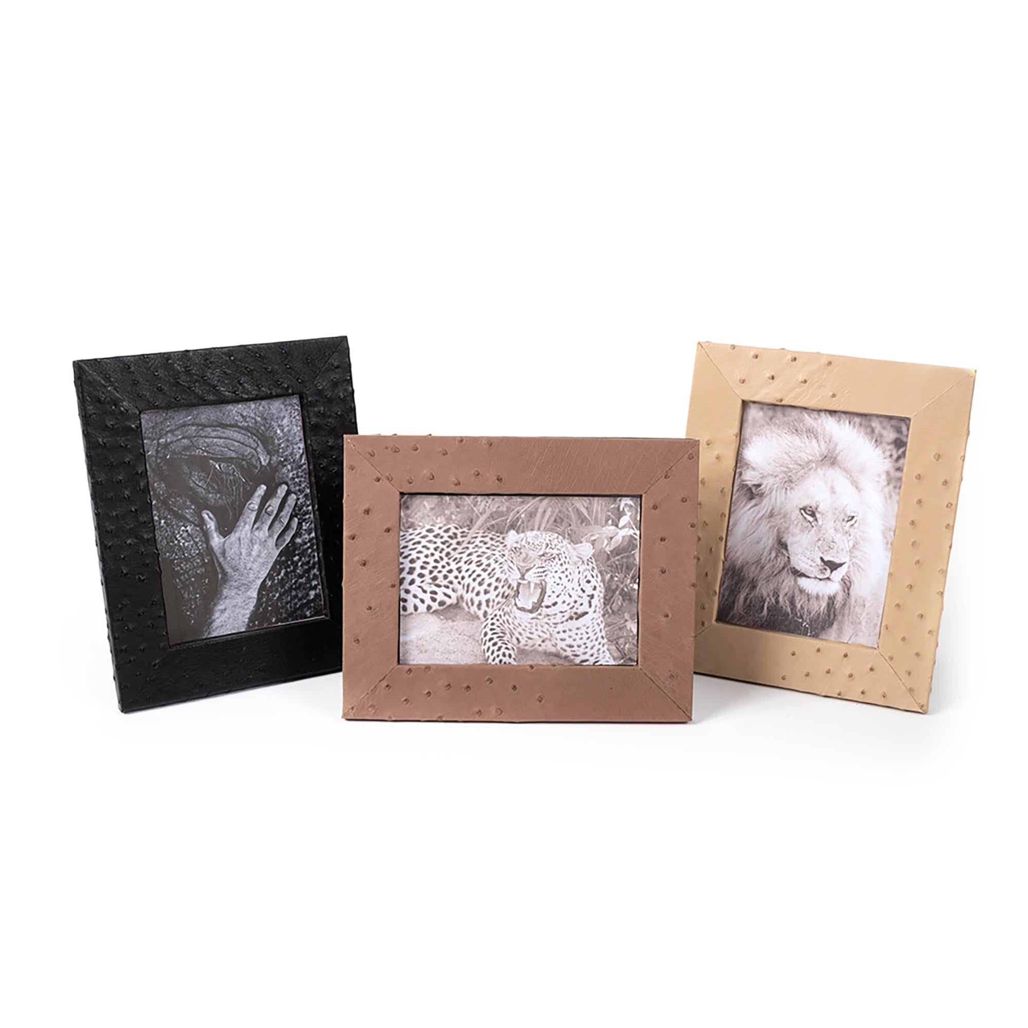 Ostrich Leather Photo Frame - Black