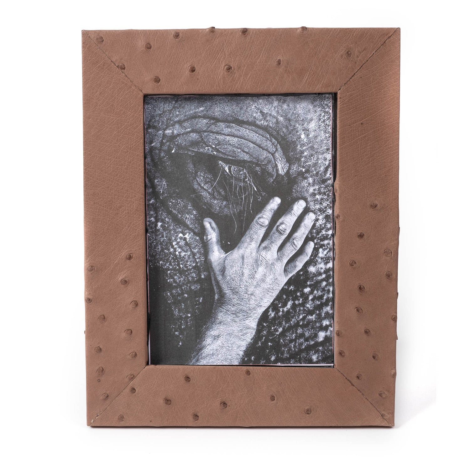 Ostrich Leather Photo Frame - Brown