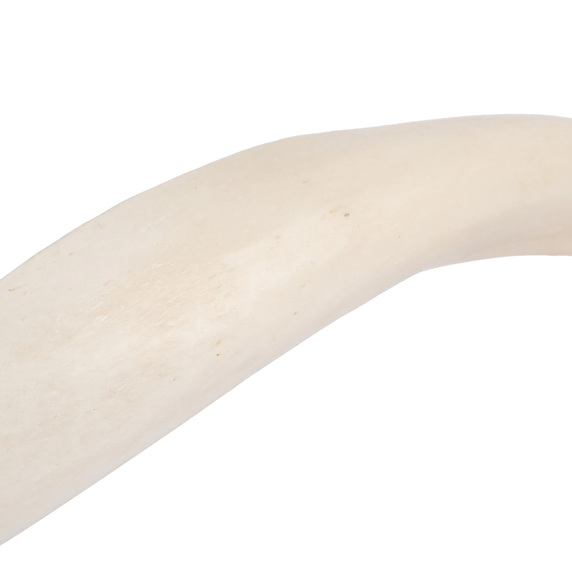 Kudu Inner Horn - Large