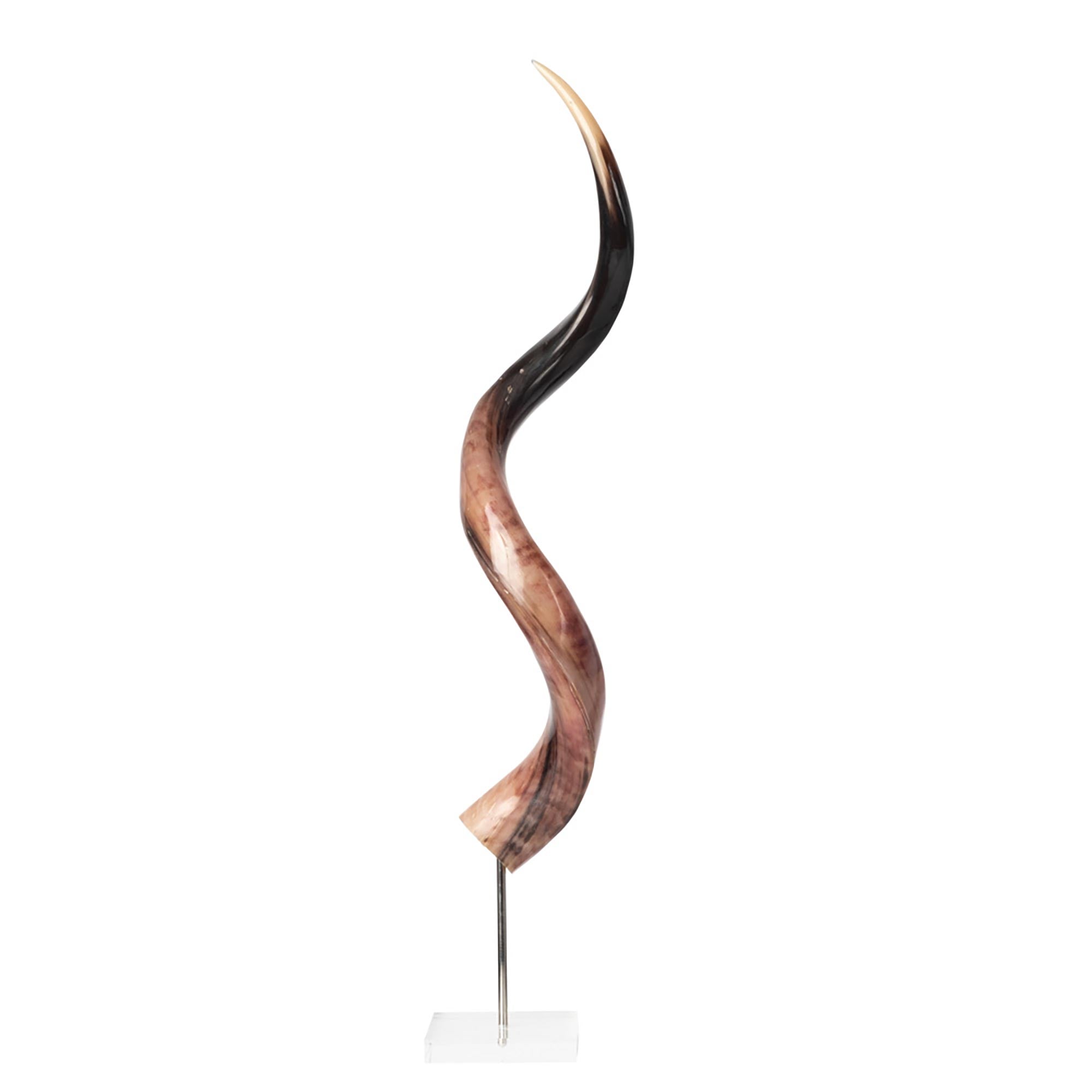 Mounted Polished Kudu Horn